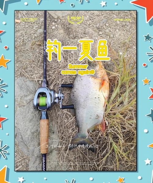 請教一下各位大神目標魚鯧魚鴨嘴魚怎么釣_鴨嘴魚科普_鴨嘴魚如何垂釣