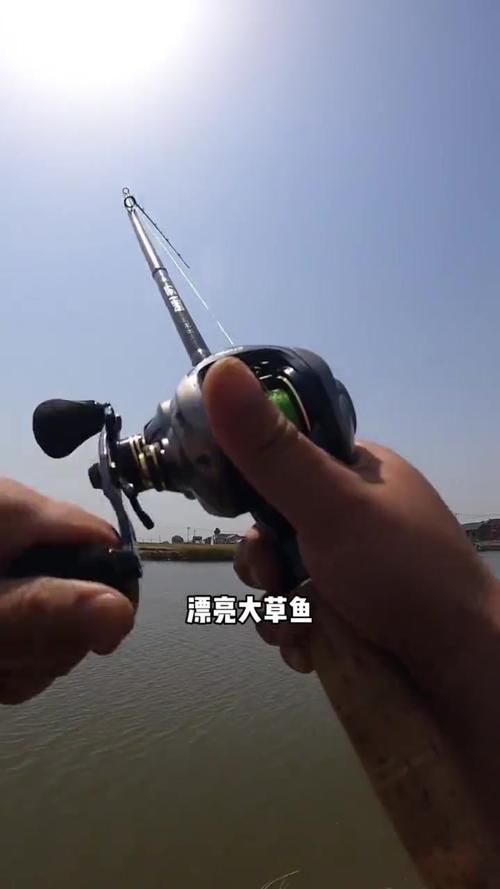 《垂釣對象魚視頻》水庫海竿垂釣草魚視頻必看