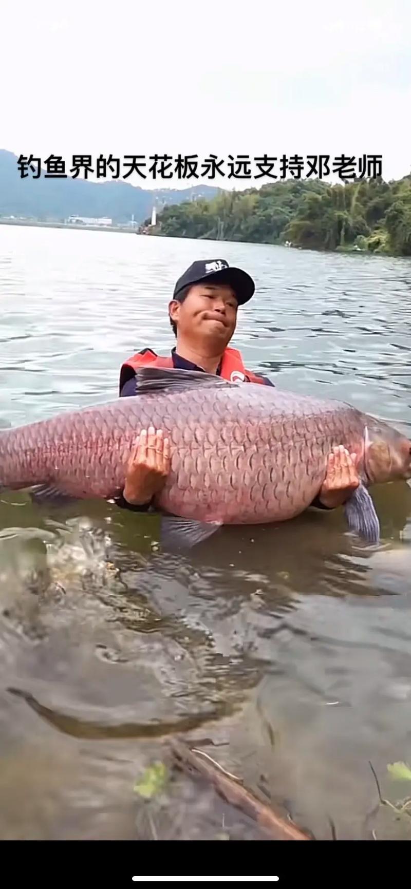《垂釣對象魚視頻》武漢天元盛夏力博草魚群必看_武漢天元釣魚論壇首頁_武漢天元釣竿