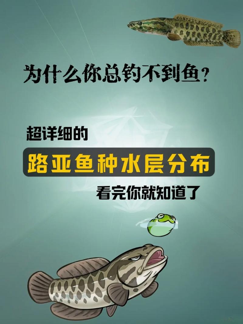 樓主釣魚什么意思_請看樓主走上釣魚不歸路_夢見請風水先生看墳地風水