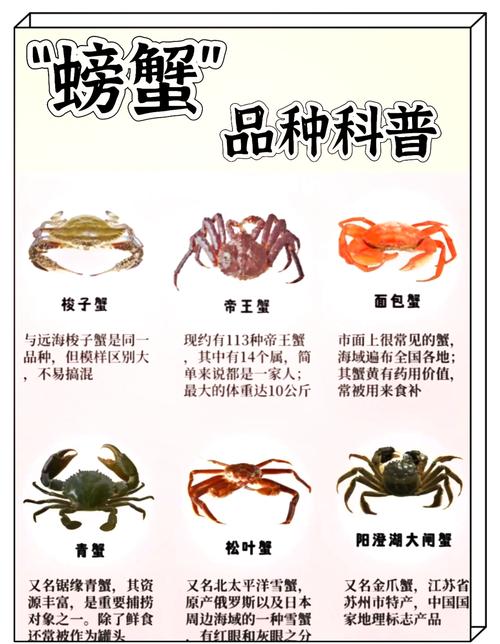 紅毛蟹是什么蟹種_觀賞蟹種類_螃蟹橫行原因