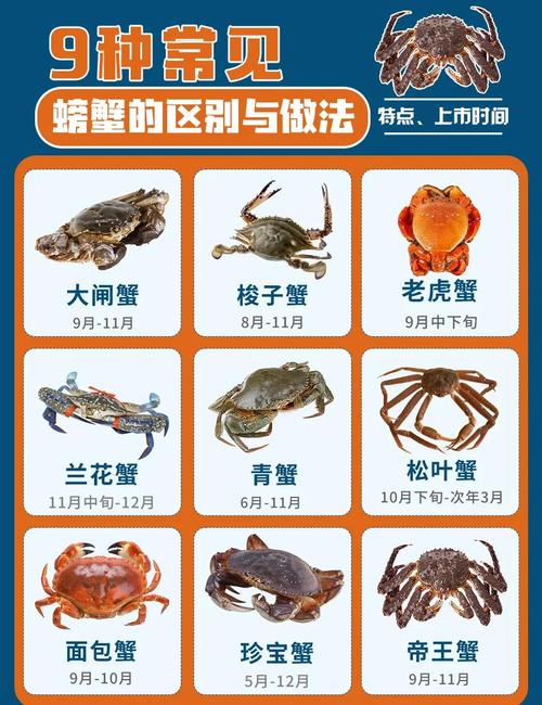 螃蟹橫行原因_觀賞蟹種類_紅毛蟹是什么蟹種