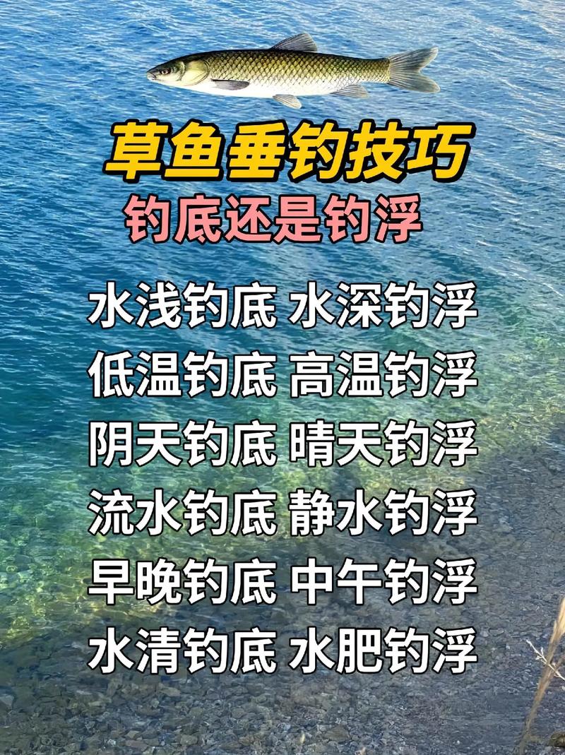 請問釣草魚是底釣還是浮釣啊2米深的水釣多少_底浮釣法釣草魚_浮釣草魚離水底多少米