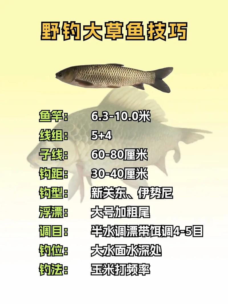 山東國慶節怎樣釣草魚用什么餌料_國慶節用什么餌料釣鯽魚_國慶釣草魚技巧