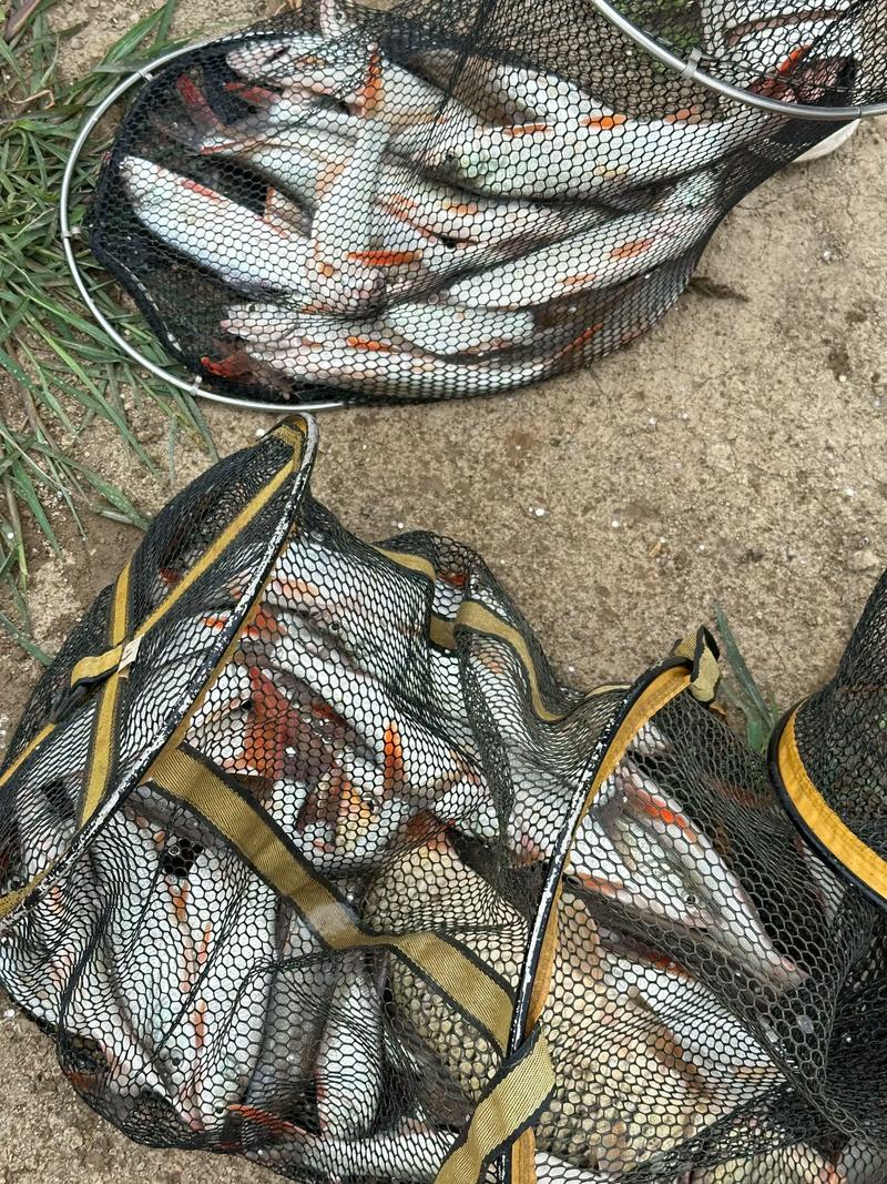 杭州下沙免費釣魚地點_杭州釣魚地圖_杭州周邊野釣地點
