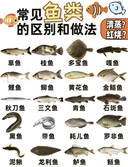 夏季夜釣草魚用什么餌料好_釣草魚不同水溫用餌思路_冷蒸餌料制作方法