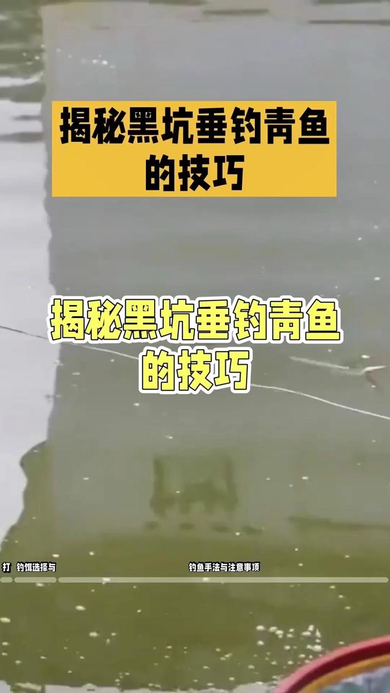 黑坑青魚玉米餌料調漂技巧_玉米粒釣草魚怎樣調漂_釣大青魚玉米窩料制作方法