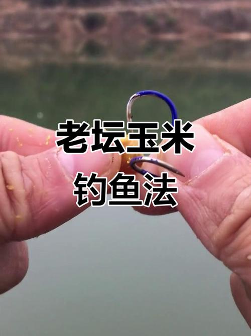 釣大青魚玉米窩料制作方法_玉米粒釣草魚怎樣調漂_黑坑青魚玉米餌料調漂技巧
