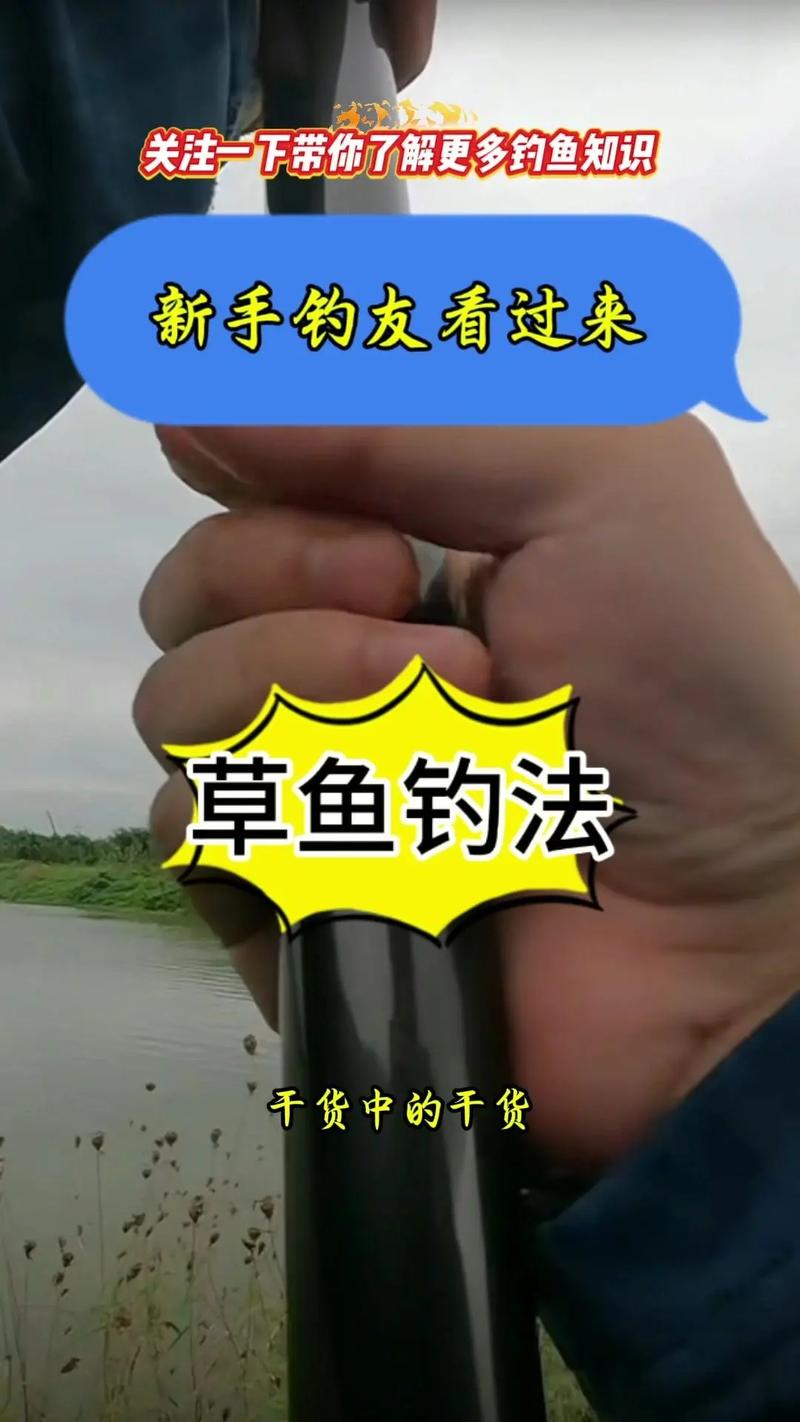 玉米粒釣草魚怎樣調漂_嫩玉米打浮釣半水_草魚爆護秘籍