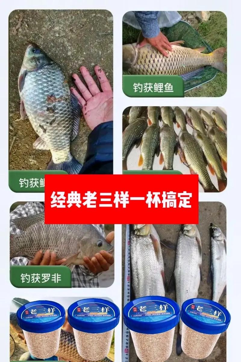 藍鯽918速攻配比_釣鯉魚餌料配方_藍鯽918釣魚的最佳配方