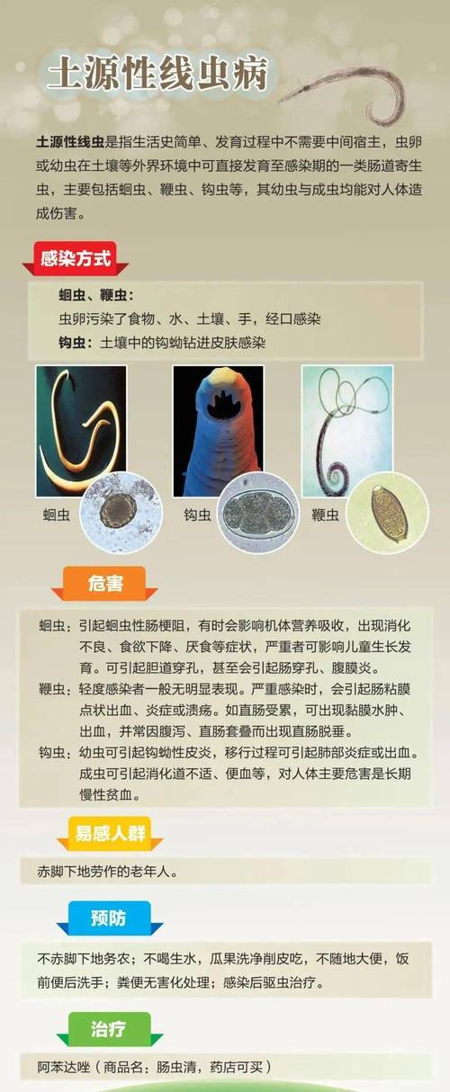 紅線蟲是什么動物_龍線蟲受保護嗎_龍線蟲病癥狀