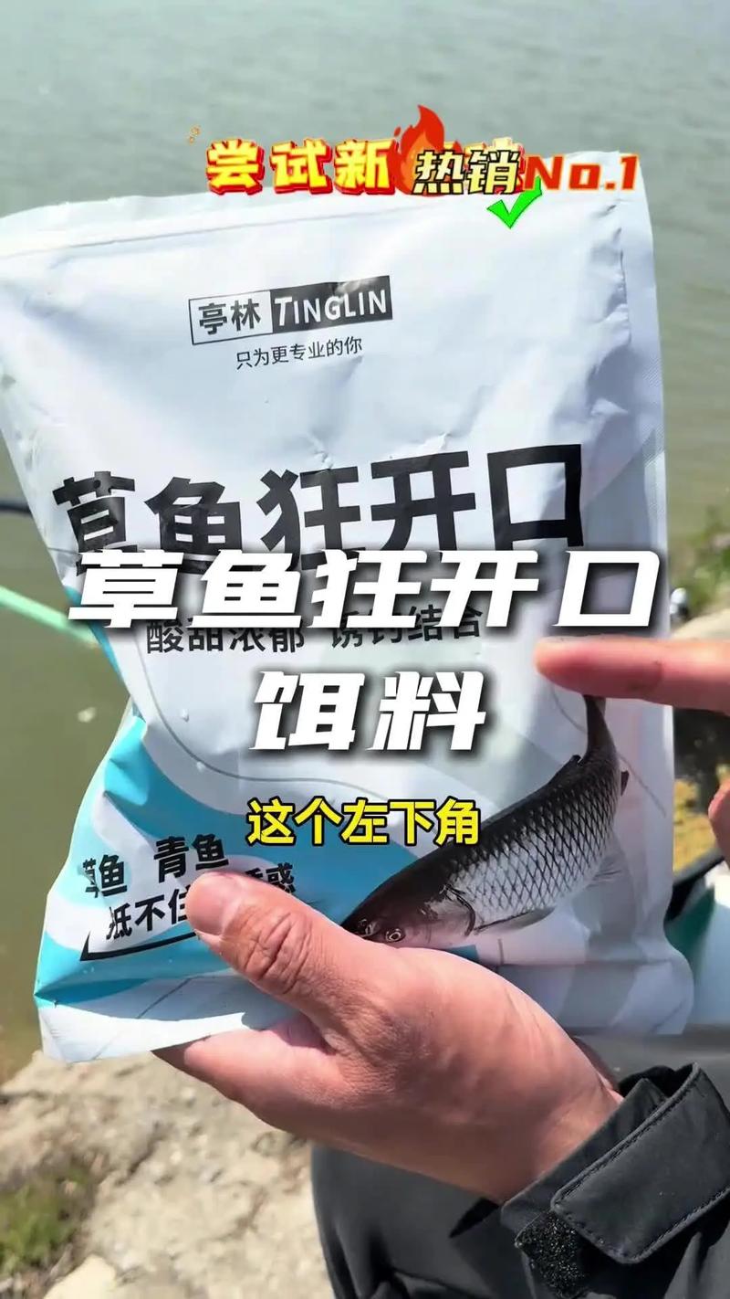 釣草魚黑坑用什么餌料_黑坑釣草魚用什么餌料最好用_黑坑釣草魚用什么鉤子比較好