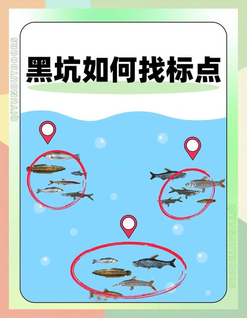 《鉤尖江湖》第30期陌生黑坑垂釣記必看_鉤尖江湖圖片欣賞_鉤尖釣魚