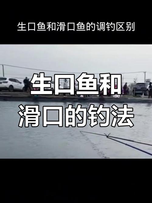赤鬼小彤帶蓋餌料盆圖片_赤鬼小彤黑坑日記最新_赤鬼小彤黑坑餌料