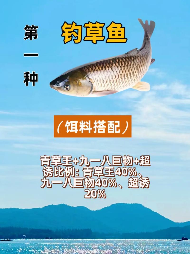 仲秋時節釣草魚攻略：餌料、裝備及技巧全解析