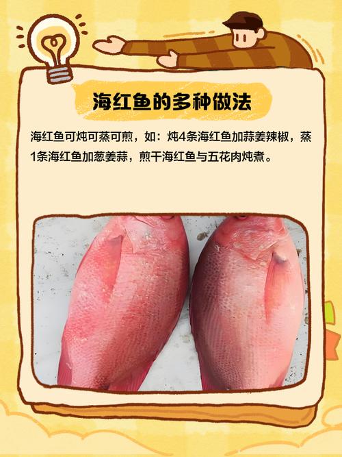紅魚是什么魚_紅魚成語故事起源_紅魚含義解釋