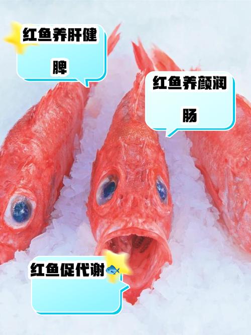 紅魚在中國泛濫成災的原因_紅魚是什么魚_紅魚是什么魚