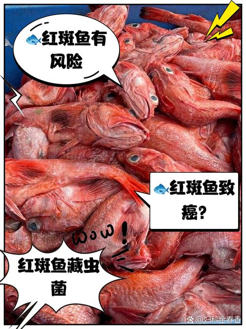 紅魚是什么魚_紅魚在中國泛濫成災的原因_紅魚是什么魚