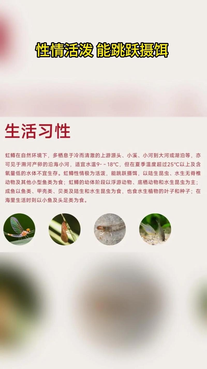 虹鱒魚釣點選擇_虹鱒魚的釣法和技巧_垂釣虹鱒魚技巧