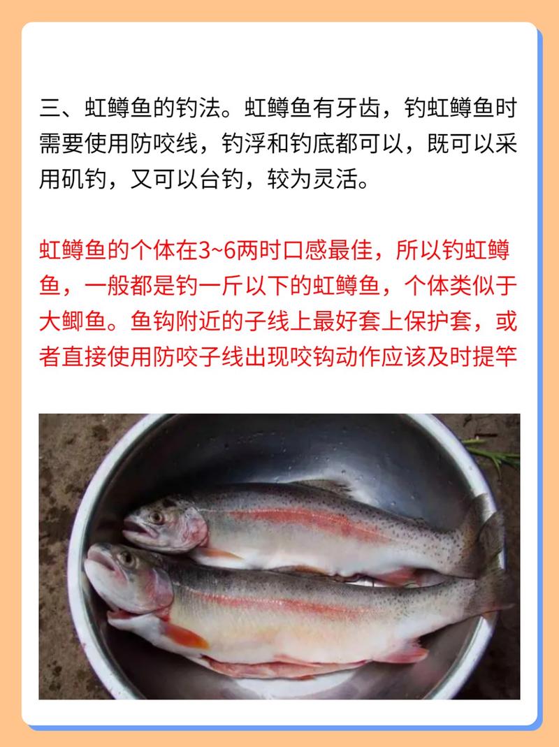 垂釣虹鱒魚技巧_虹鱒魚的釣法和技巧_虹鱒魚釣點選擇