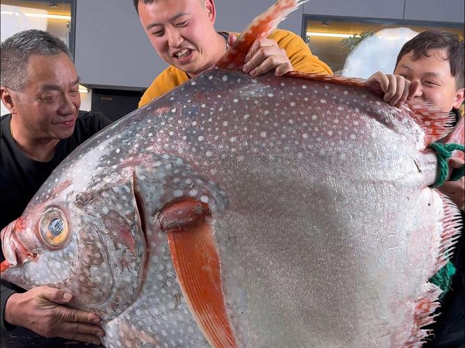 月亮尾巴的魚_月亮形狀的魚_請問尾巴是月亮的魚叫什么名字