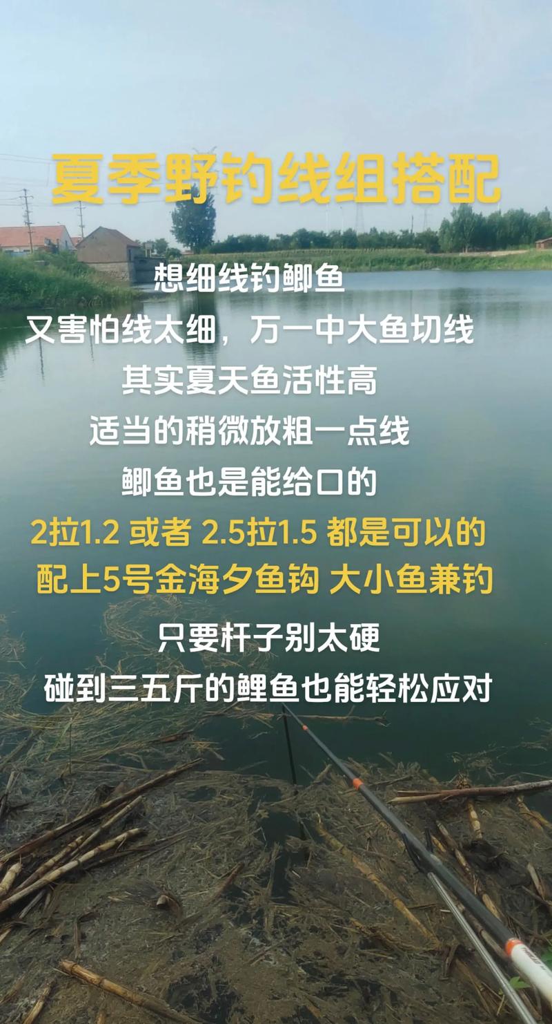 釣魚 線組_釣鯉魚線組搭配_夏季釣鯉魚技巧