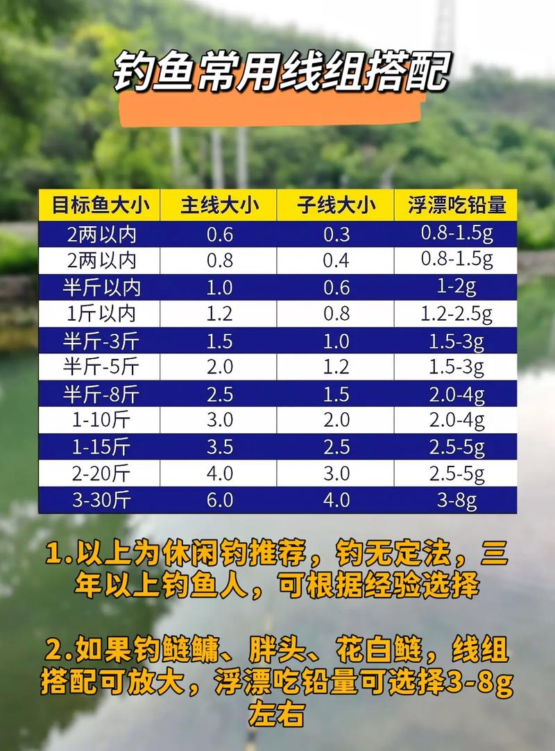 夏季釣鯉魚技巧_釣鯉魚線組搭配_釣魚 線組