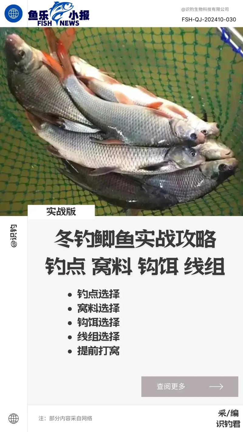 初冬釣魚技巧_冬季釣鯽魚技巧_冬季深水區垂釣