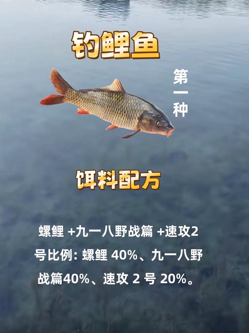 解密野生鯉魚的生活習性和垂釣技巧必看_野生鯉魚咋釣_垂釣野生鯉魚應該如何使用餌料