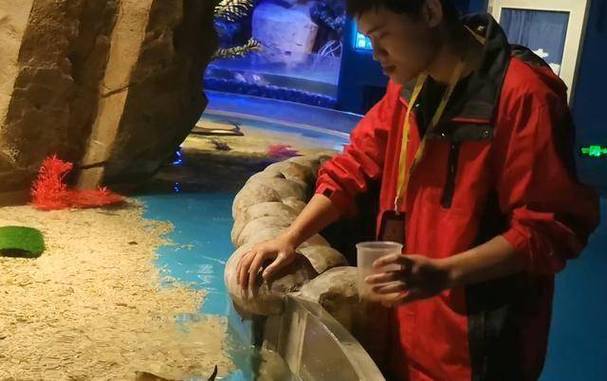 鱟魚是國家保護動物嗎_超市售賣保護動物事件_中華鱟保護動物