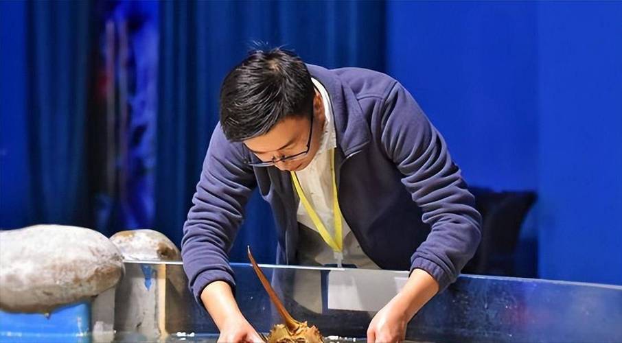 中華鱟保護動物_超市售賣保護動物事件_鱟魚是國家保護動物嗎