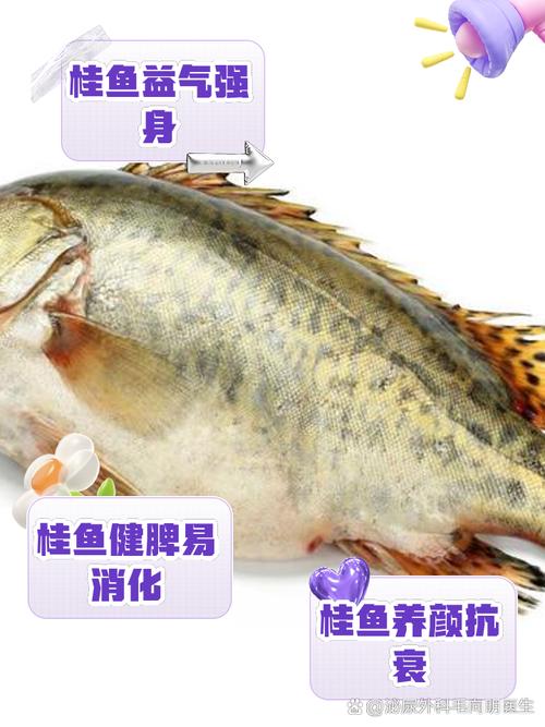 初戀愛江桂明_桂魚毒怎么解_解鎖桂江魚解毒了