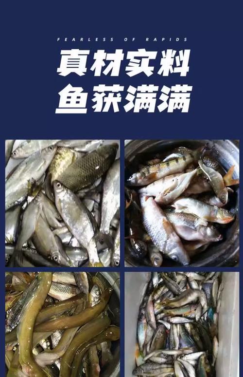 打窩料制作方法_請問野釣河中的勾魚用什么餌料_釣鯉魚鯽魚鯰魚餌料配方