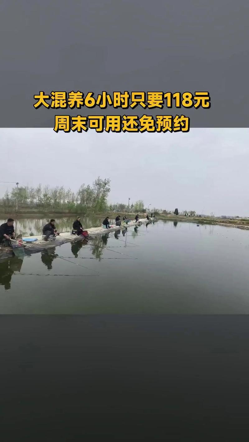 天津釣魚論壇手機版_天津釣魚網論壇官網天津釣魚網_天津釣魚論壇181