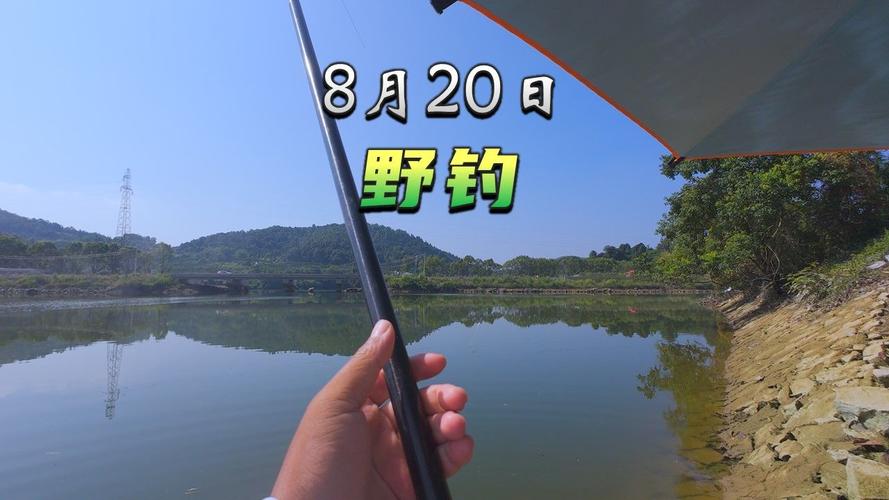 宜昌水庫可以野釣嗎_湖北松滋市水庫釣魚_湖北宜都市水庫釣魚