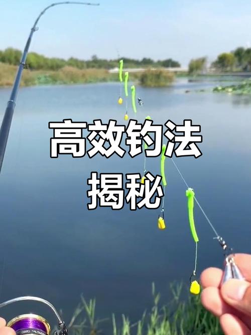 釣魚視頻技巧串鉤教程_釣魚視頻技巧串鉤圖解_串鉤釣魚技巧視頻