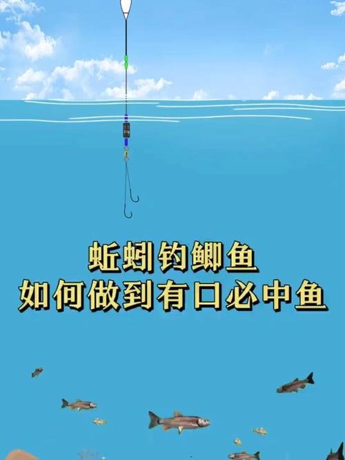 傳統野釣蚯蚓釣魚視頻_釣鯽魚蚯蚓用法_蚯蚓釣餌水情魚情分析
