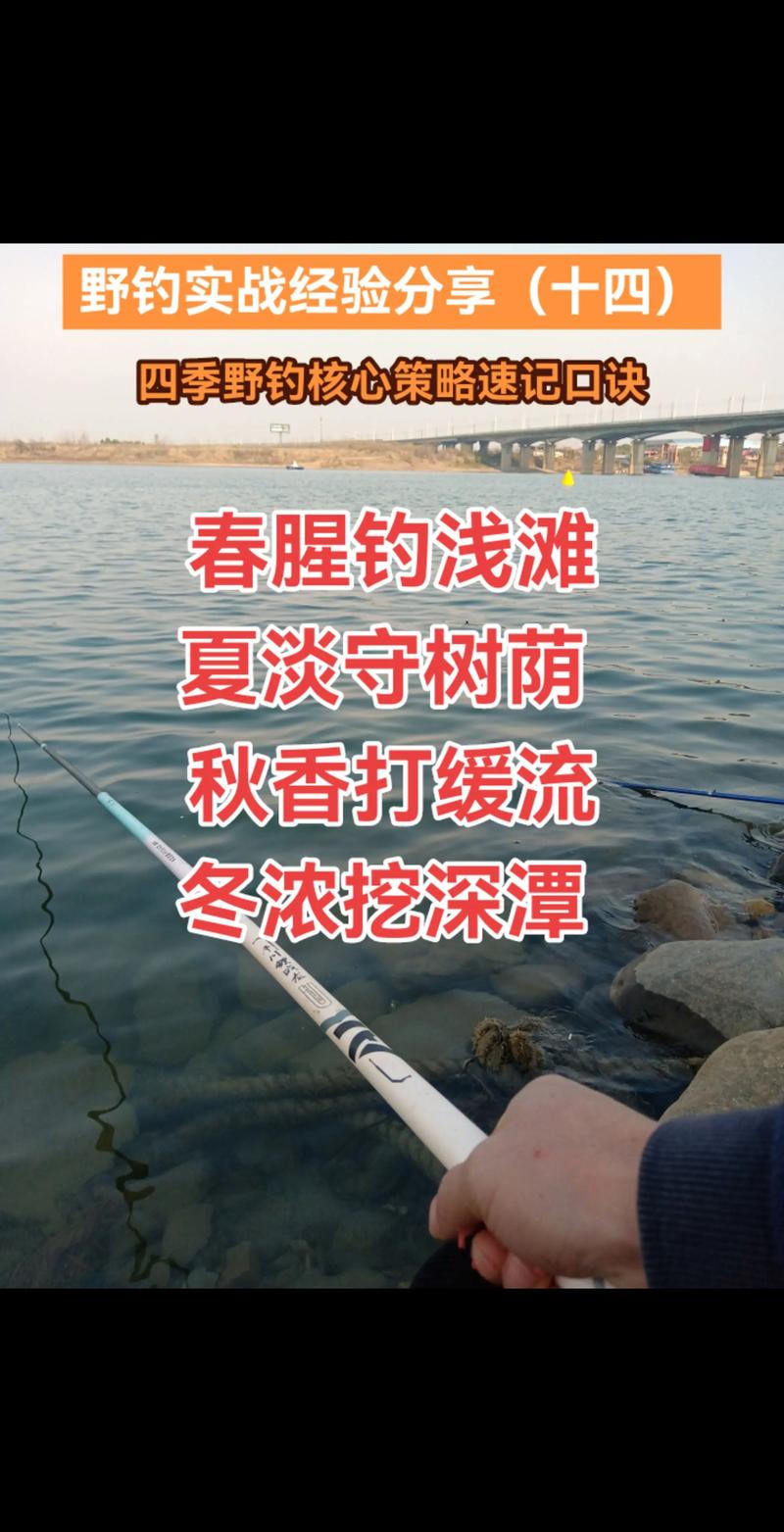 cctv野釣全攻略_野釣節目哪個好看_野釣全攻略全集