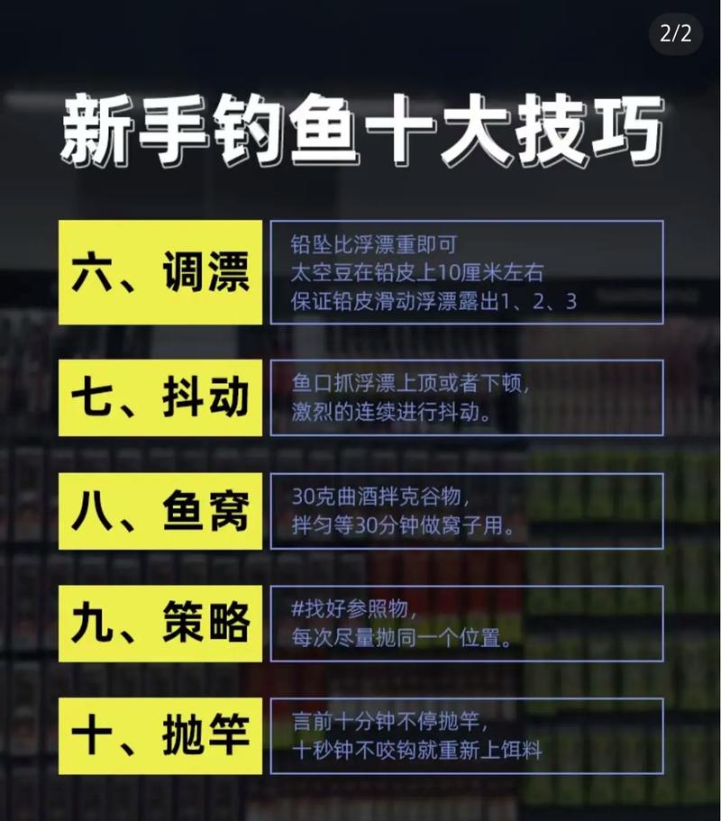 野釣節目哪個好看_cctv野釣全攻略_野釣全攻略全集