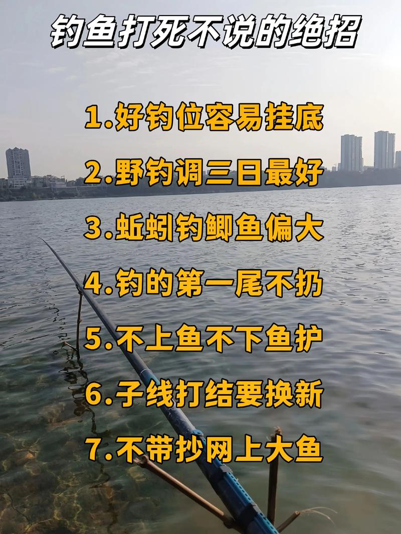 老鬼釣魚視頻游釣世界_老鬼釣魚視頻大全水庫_老鬼釣魚寬頻網