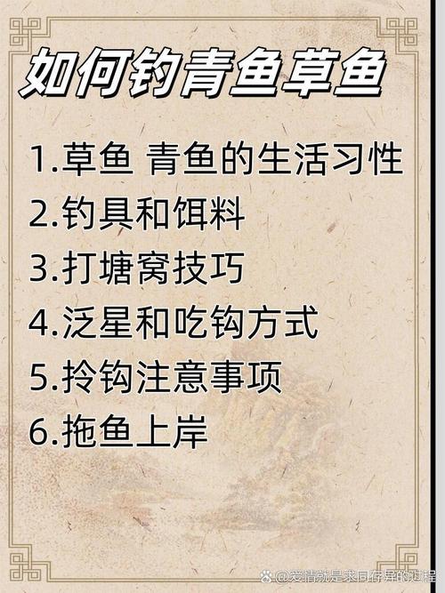 冬季釣草魚用什么餌料好_贛南草魚植物餌料_春季草魚植物餌料選擇