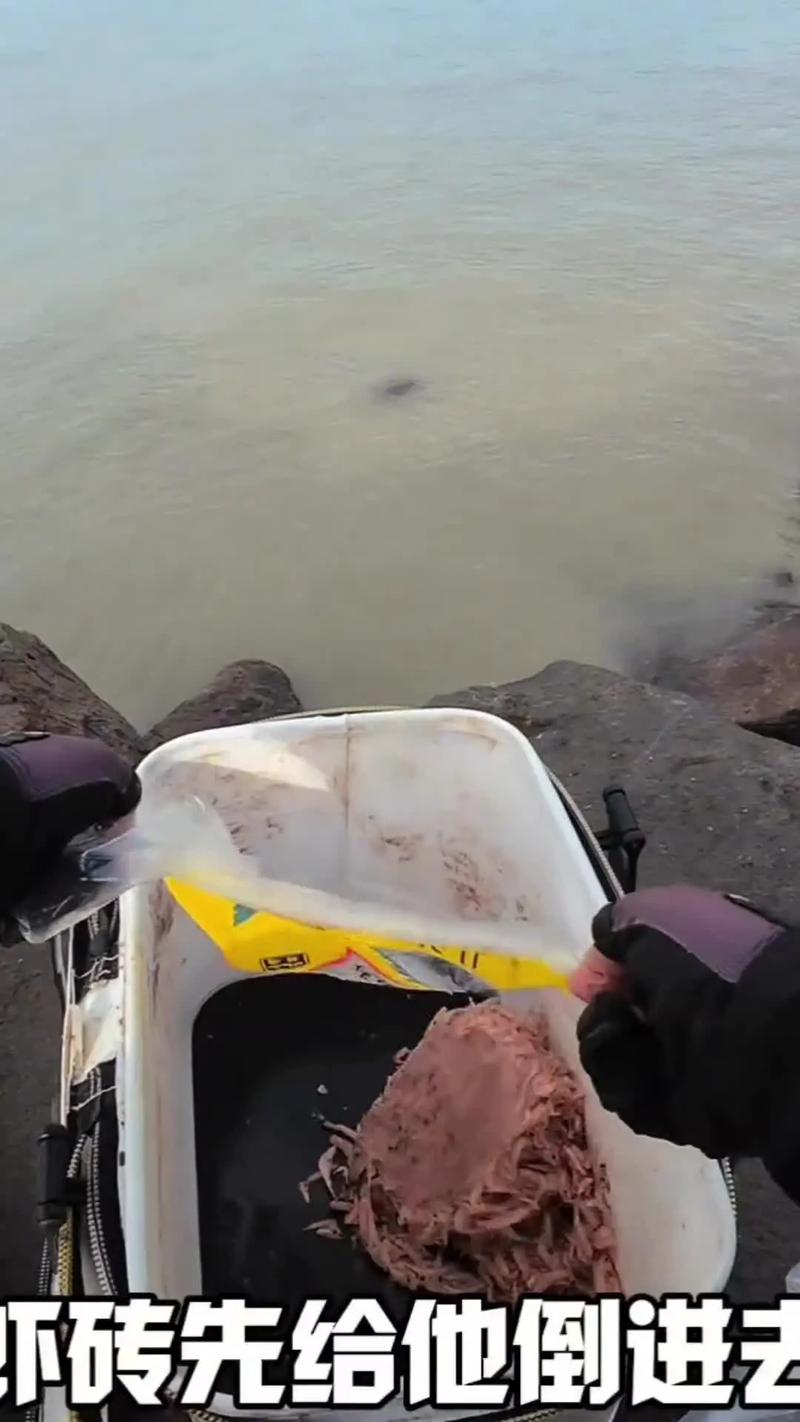 《海釣視頻》浮游磯釣黑鯛魚大爆連必看_海釣黑漂視頻_海釣黑魚視頻