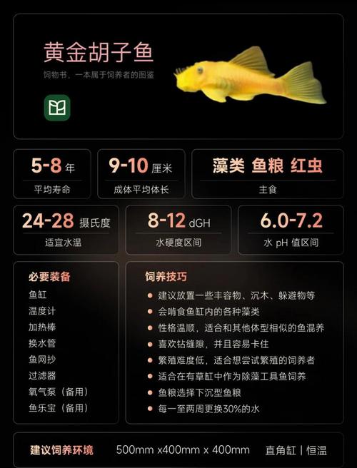 胡子長的魚_魚大胡子_胡子魚是什么魚