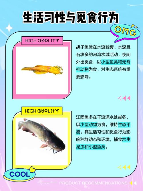 胡子長的魚_魚大胡子_胡子魚是什么魚