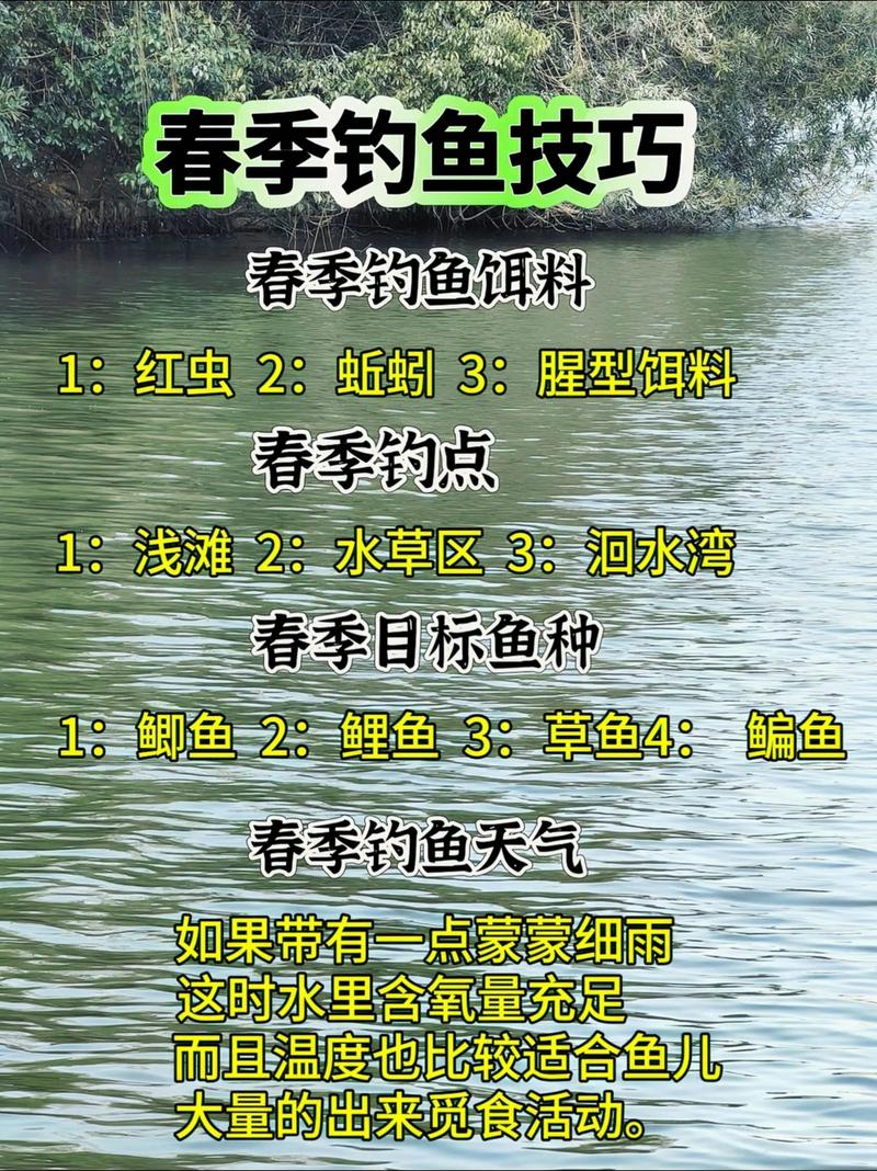 春季釣魚技巧全攻略，助你輕松釣大魚，掌握這些輕松應對春日垂釣