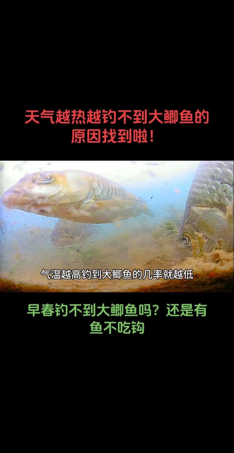 春季釣魚技巧_春季釣魚攻略_早春釣魚技巧