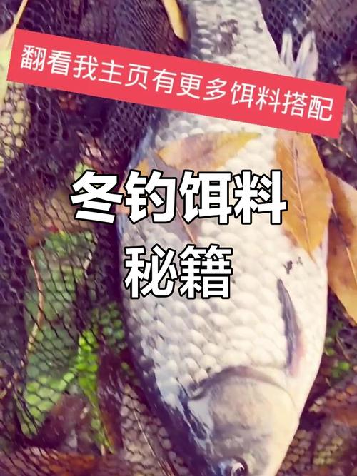 冬季用什么餌料釣草魚最佳_冬季釣草魚用什么餌料效果好_冬天釣草魚餌料