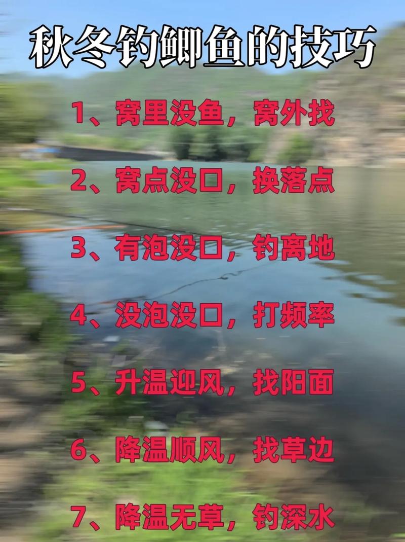 深秋大鯽魚食性分析_深秋釣大鯽魚技巧_深秋肥水釣魚技巧
