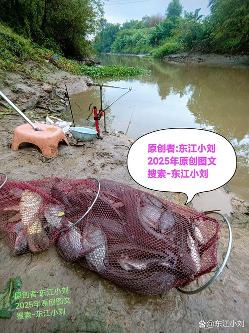 安慶市周邊釣魚地點_安慶周邊釣場_安慶釣魚哪里最好