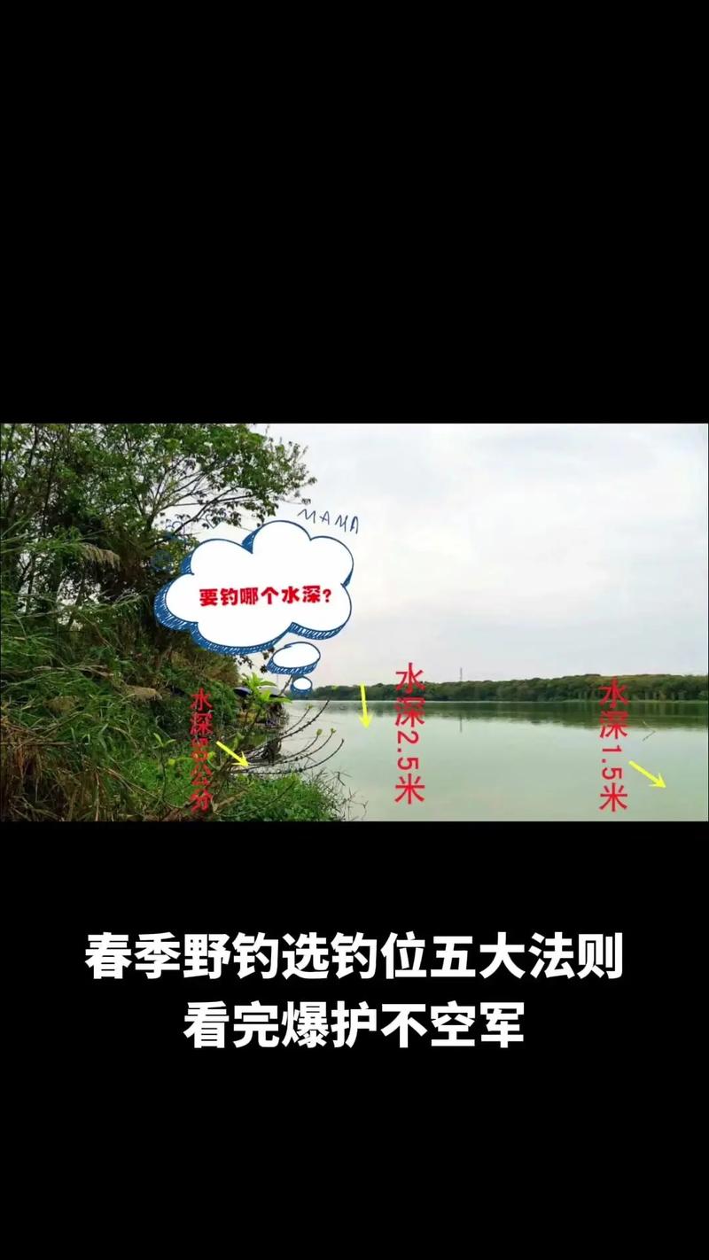 釣魚湖邊技巧方法有哪些_釣魚湖邊技巧方法圖解_湖邊釣魚的技巧及方法